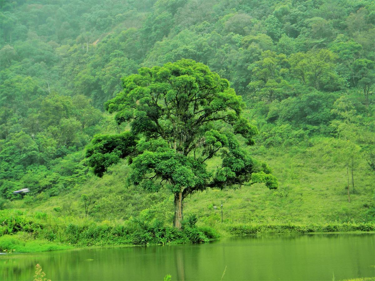 Pousada Signora Del Lago Sao Joao  Buitenkant foto
